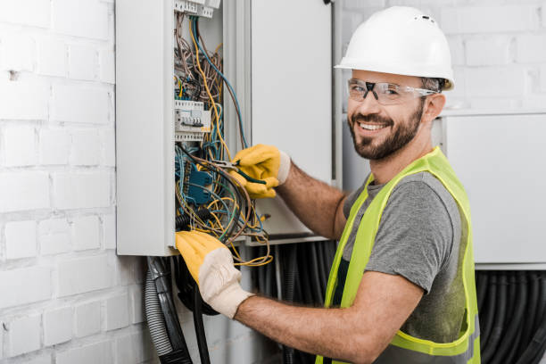 Best Electric Panel Repair  in Knoxville, IA